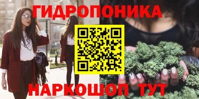 гидропоника Азнакаево