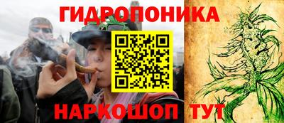 a pvp Волжский