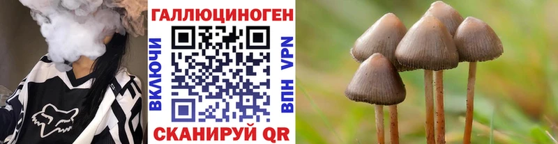 Галлюциногенные грибы Psilocybine cubensis  дарнет шоп  Анжеро-Судженск 