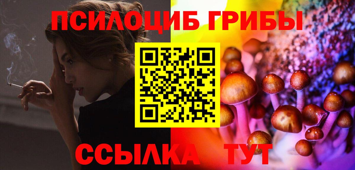 Псилоцибиновые грибы мухоморы Анжеро-Судженск