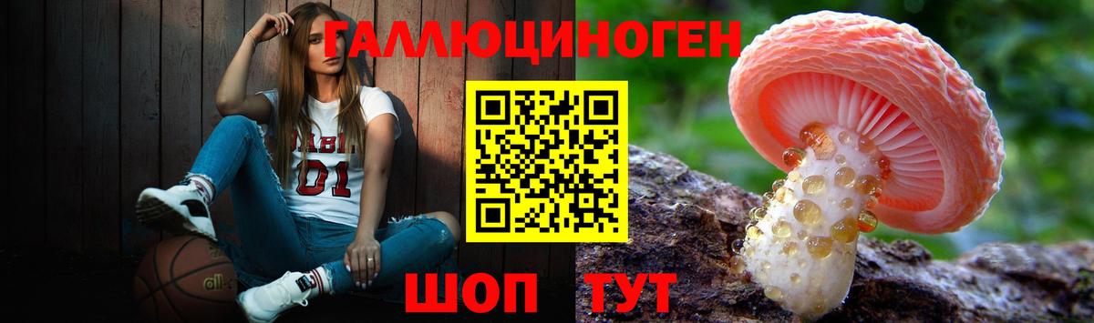 Галлюциногенные грибы Psilocybe  Псилоцибиновые грибы мицелий  как найти наркотики  Анжеро-Судженск  Вход с VPN 